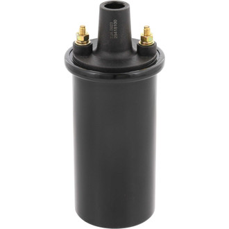 Holstein® - Ignition Coil