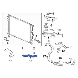 Honda OE - Lower Radiator Coolant Hose