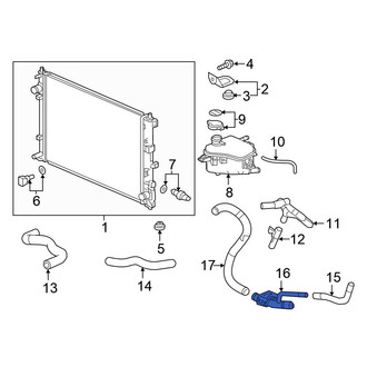 Honda OE - Lower Radiator Coolant Hose