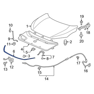 Honda OE - Front Lower Hood Seal