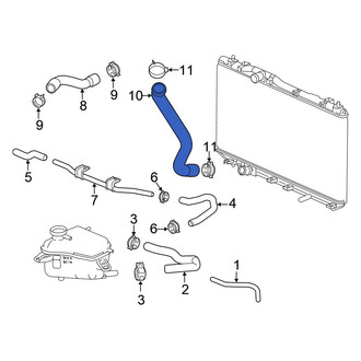 Honda OE - Lower Radiator Coolant Hose