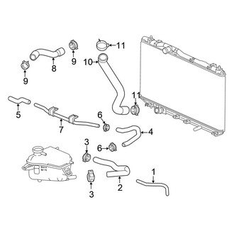 Honda OE - Cooling - Hoses & Lines (Type R)