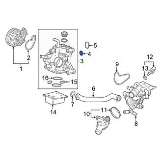 Honda OE - Engine Water Pump Housing O-Ring