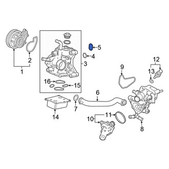 Honda OE - Engine Water Pump Housing O-Ring