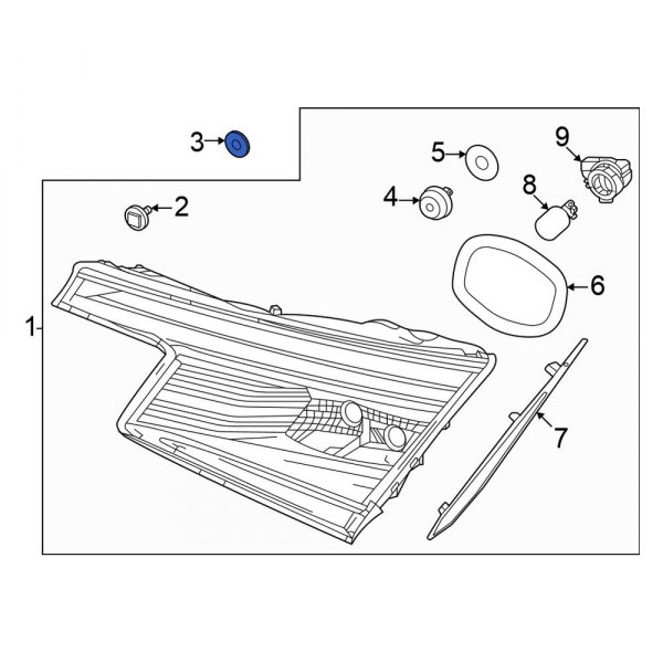 Back Up Light Assembly Nut