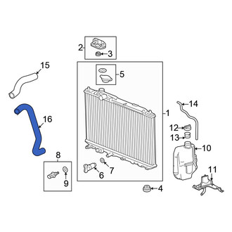 Honda OE - Lower Radiator Coolant Hose