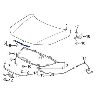 Honda OE - Hood Seal