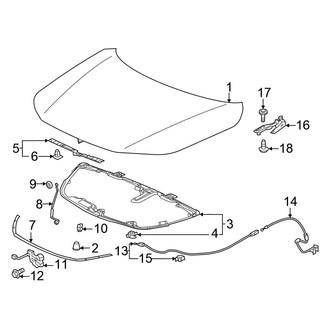 Honda OE - Hood & Components (Sedan)