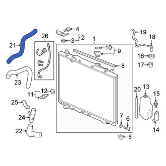 Honda OE - Upper Radiator Coolant Hose