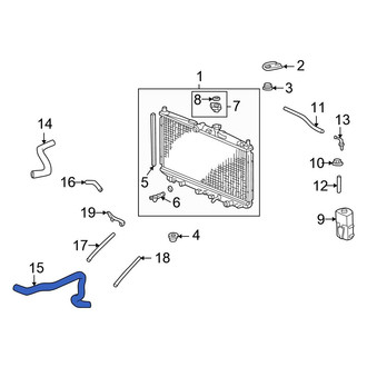 Honda OE - Lower Radiator Coolant Hose