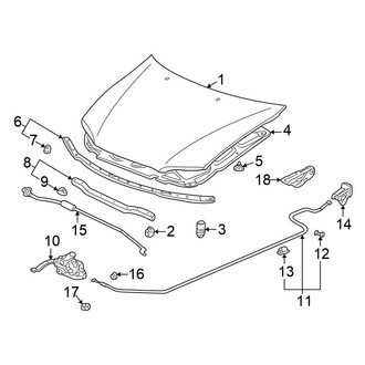 Honda OE - Hood & Components