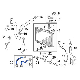 Honda OE - Automatic Transmission Oil Cooler Hose