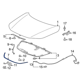 Honda OE - Front Hood Seal