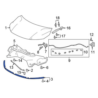Honda OE - Front Hood Seal