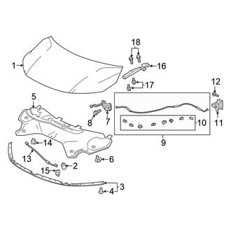 Honda OE - Hood & Components