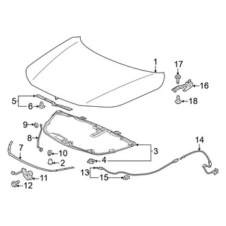 Honda OE - Hood & Components