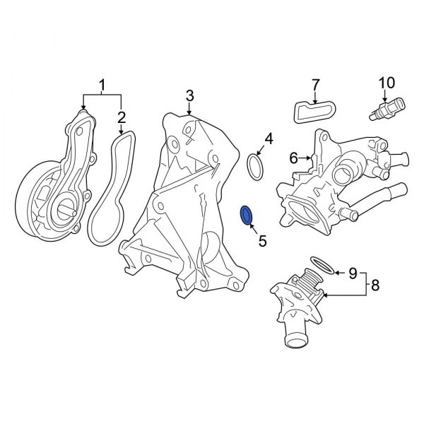 Engine Water Pump Housing O-Ring