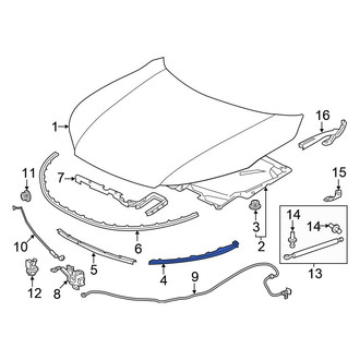 Honda OE - Front Left Lower Hood Seal