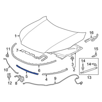 Honda OE - Front Lower Center Hood Seal
