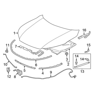 Honda OE - Hood & Components