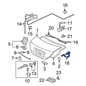 Honda Civic Si Trunk & Tailgate Hinges — CARID.com