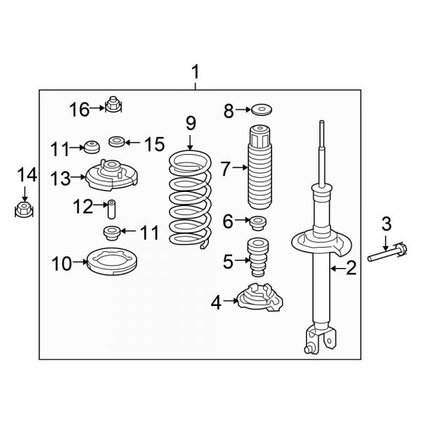 Rear Suspension - Struts & Components