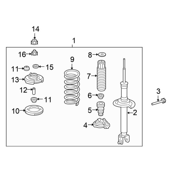 Rear Suspension - Struts & Components