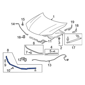 Honda OE - Front Outer Hood Seal
