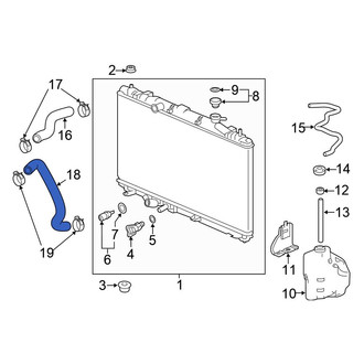 Honda OE - Lower Radiator Coolant Hose
