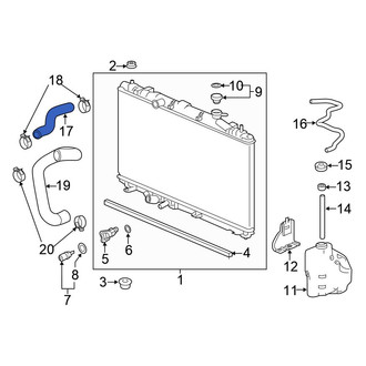 Honda OE - Upper Radiator Coolant Hose