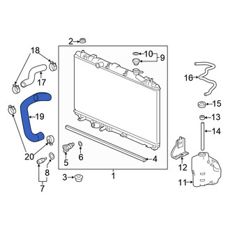 Honda OE - Lower Radiator Coolant Hose