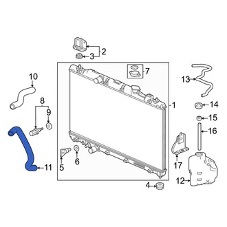 Honda OE - Lower Radiator Coolant Hose