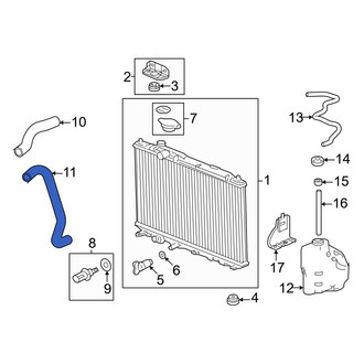 Honda OE - Lower Radiator Coolant Hose