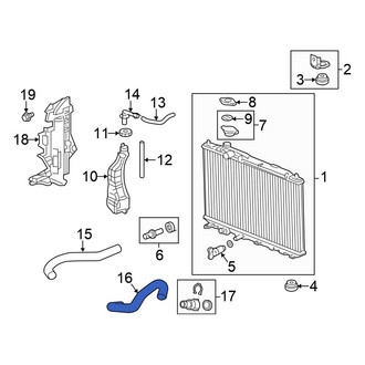 Honda OE - Lower Radiator Coolant Hose
