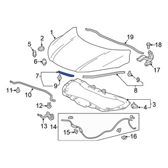 Honda OE - Front Center Hood Seal