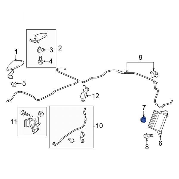 Antenna Amplifier Nut