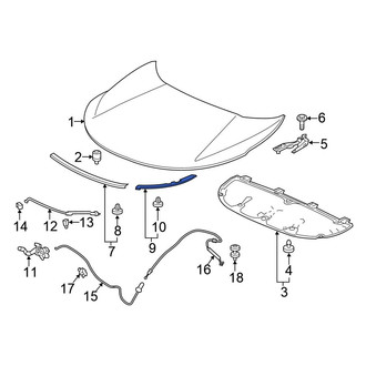 Honda OE - Front Left Hood Seal