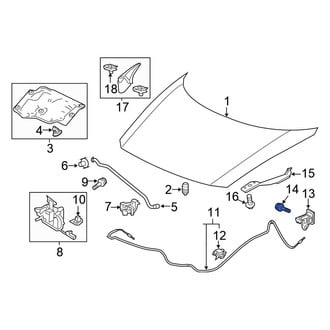 Honda OE - Suspension Control Arm Bolt