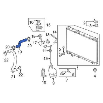Honda OE - Upper Radiator Coolant Hose