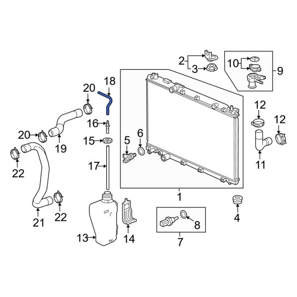 Engine Coolant Reservoir Hose