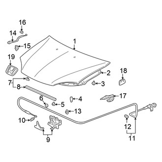 Honda OE - Hood & Components