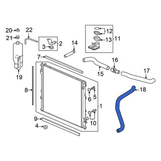 Honda OE - Lower Radiator Coolant Hose