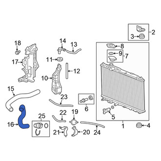Honda OE - Lower Radiator Coolant Hose