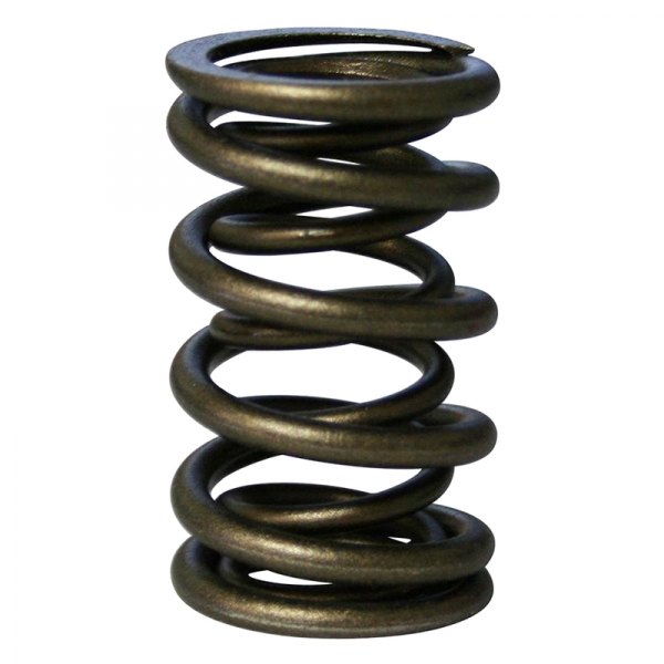 Howards Cams® 982231 Pacaloy™ Mechanical Flat Tappet Dual Valve Spring