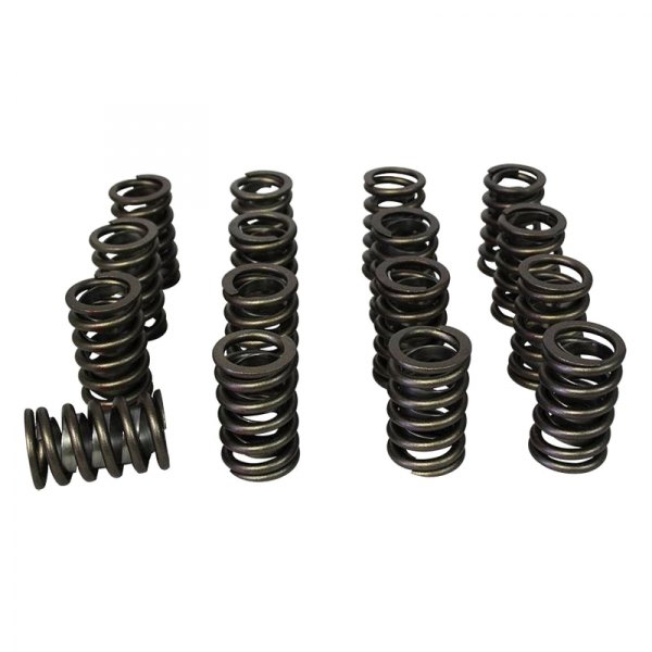 Howards Cams® Hydraulic Flat Tappet Valve Springs