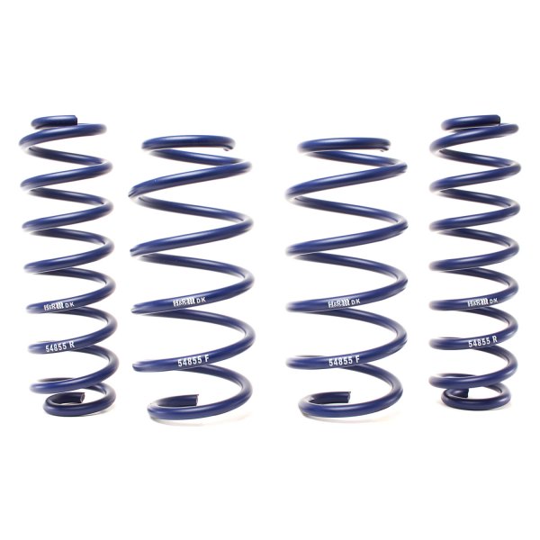 H&R® - 1" x 1" Adventure Raising Front and Rear Lifted Coil Springs