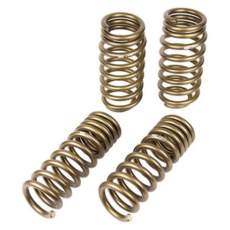 Hurst Shifters® - Spring Kit