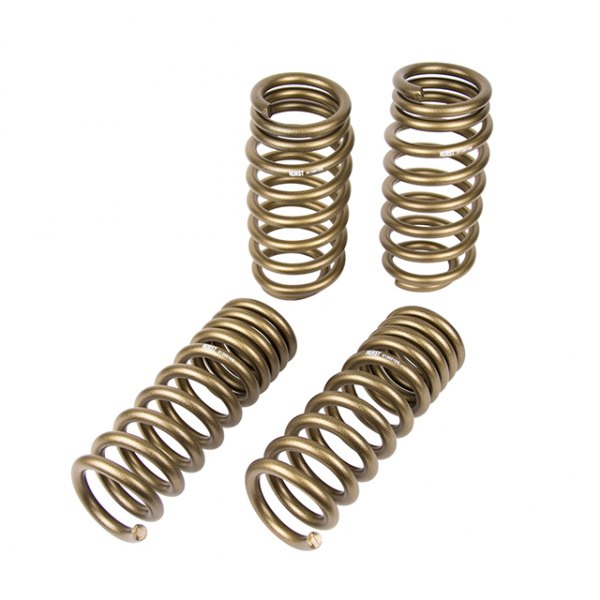 Hurst Shifters® - 1.25" x 1.25" Elite Series™ Front and Rear Lowering Coil Springs