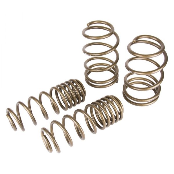 Hurst Shifters® - 1" x 1" Elite Series™ Front and Rear Lowering Coil Springs