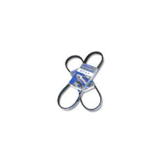 Hutchinson® - Accessory Drive Belt